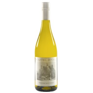 Pinot Bianco 2019 Castel Juval